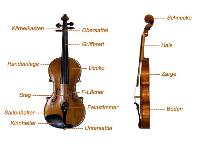 Aufbau und Teile der Violine Geige Korpus Hals Saiten Steg